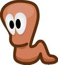 Worm