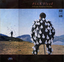  Delicate Sound Of Thunder.  .  ''