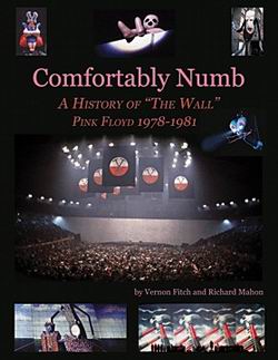   Comfortably Numb