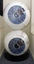 Pink Floyd "Pulse" eyeballs