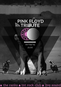  Pink Floyd   10 