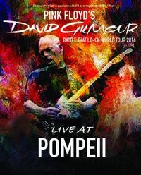 David Gilmour Live at Pompeii